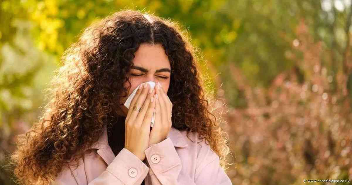 Pharmacists issue urgent warning to anyone who suffers with hay fever