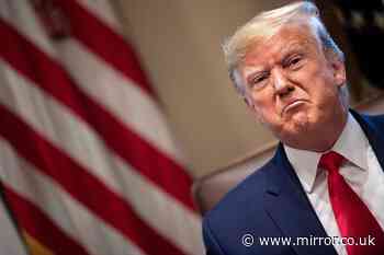 MIKEY SMITH: 8 unhinged things Donald Trump did in 24 hours as he floats huge constitution change
