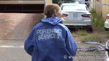 Landlord is allegedly stabbed to death by his tenant during visit to rental property