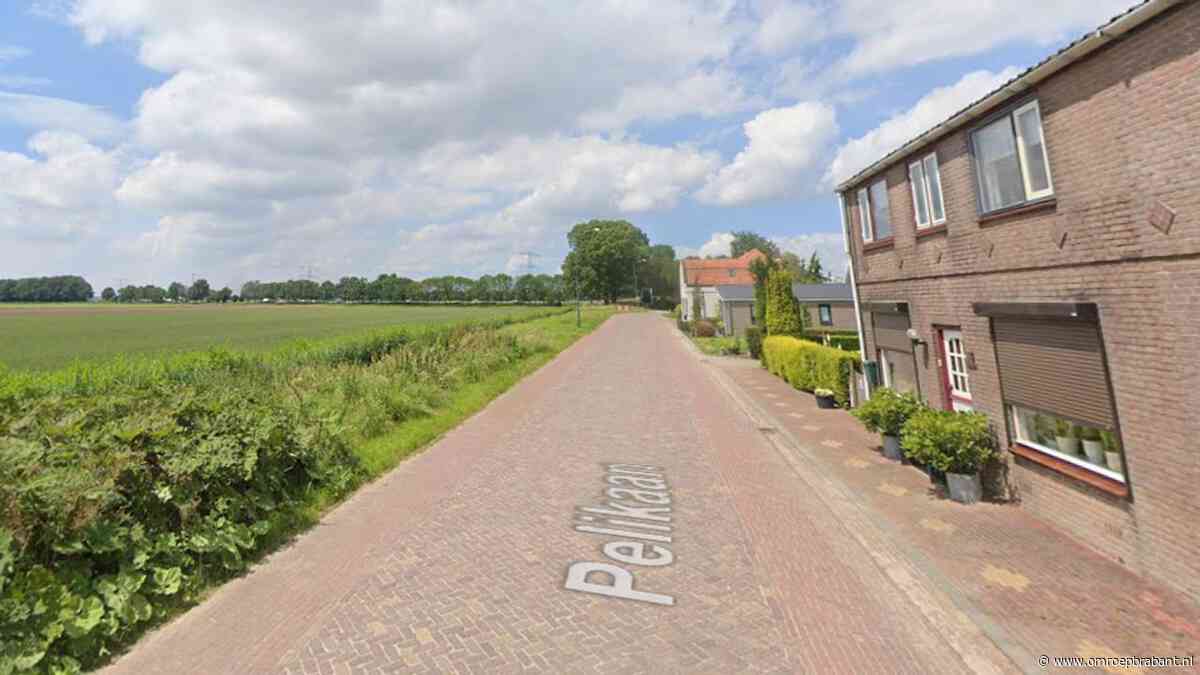 Huis beschoten met luchtbuks: 'Had niet door hoe ver-ie schoot'