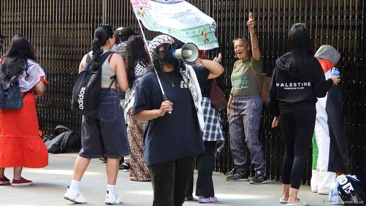 Pro-Palestinian protesters halt Gal Gadot's new film The Runner again as filming is brought to a standstill in London