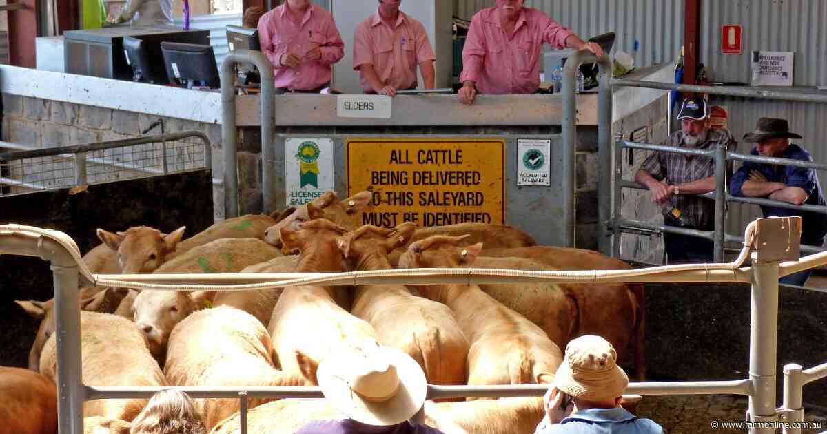 Public rallies behind Swan Hill saleyards amid ongoing financial losses