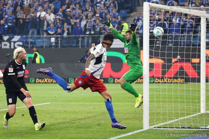 Hamburger SV finally returns to Bundesliga after seven seasons in second division