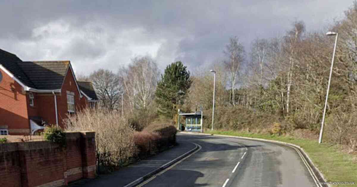 Horror after two teenage girls 'raped and sexually assaulted' as 19-year-old arrested