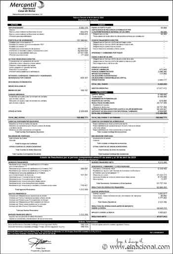 Balance Mercantil Merinvest Abril 2025