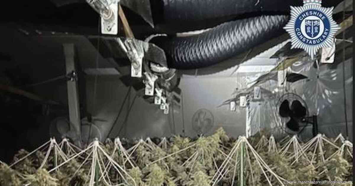 A whiff of suspicion leads to 700 cannabis plants in old bank building