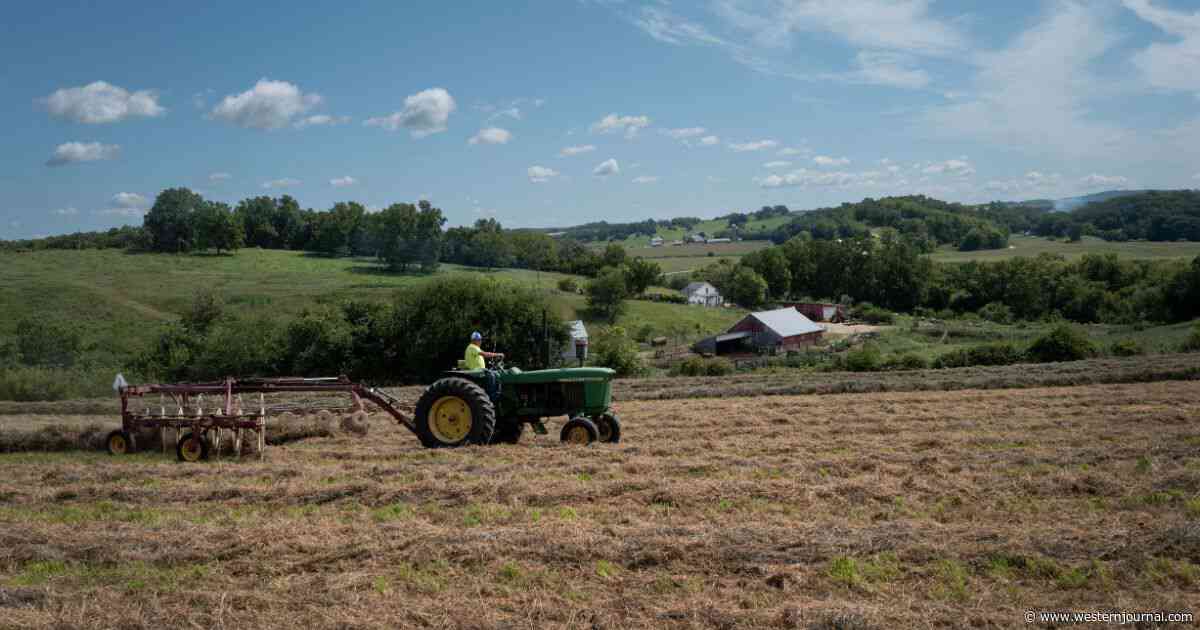 Trump Teases Details of Major Trade Deal - It Sounds Like Big News for US Farmers