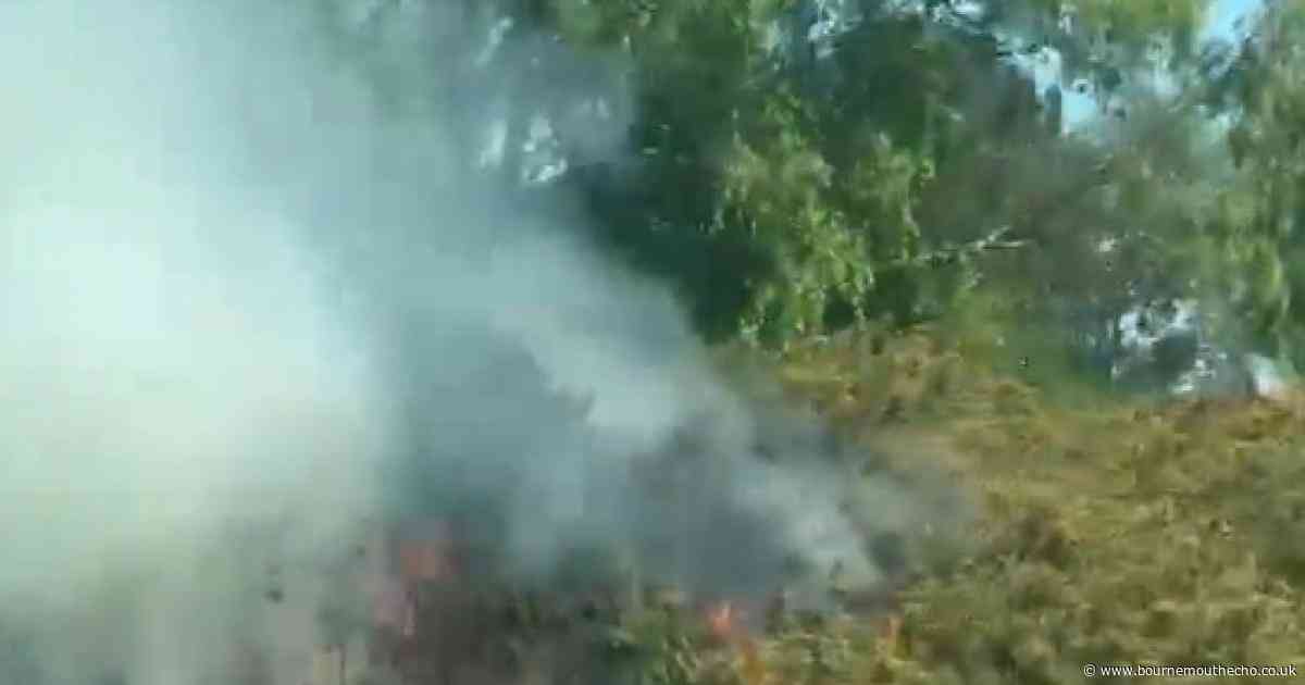 WATCH: Heath fire on nature reserve in Bournemouth