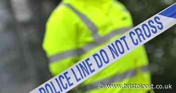 Man seriously injured in Bristol park attack