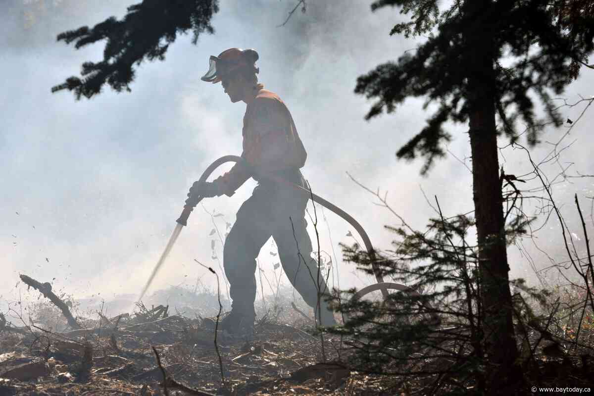 Two new wildfires in Northeast Region on Saturday