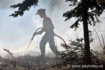 Two new wildfires in Northeast Region on Saturday