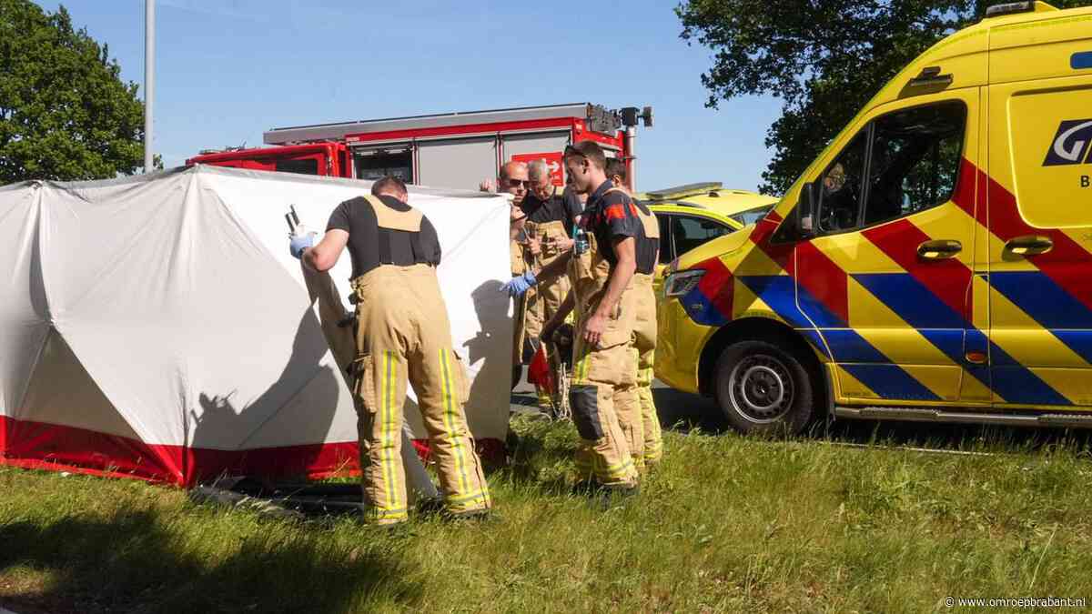 Fietser (88) overleden na aanrijding met busje