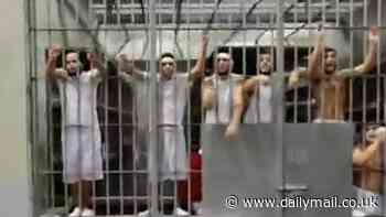 Deported 'Tren de Aragua gangsters' scream in distress in first video from inside El Salvador prison