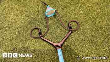 Goose and swan hit in suspected catapult attack