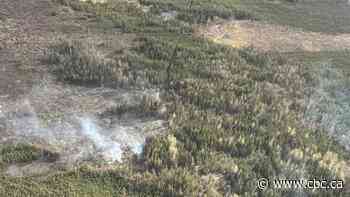 Warm, dry weather stoking 11 wildfires near Fort Nelson, B.C., left over from last year