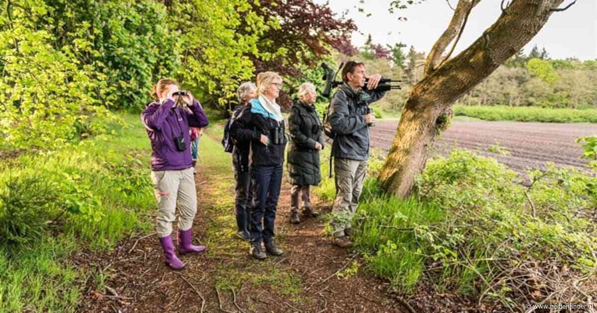 Leuk uitje: op deze dag kun je gratis vogelspotten met een expert