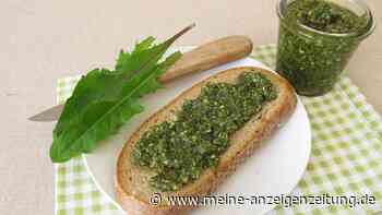 Selbstgemachtes Löwenzahnpesto: Wild, würzig und vielseitig