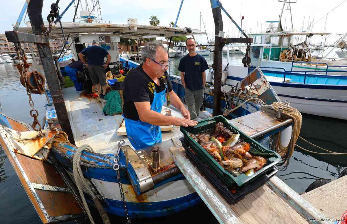 "Je n’ai pas encore fait mon deuil": le déchirement des derniers pêcheurs de gangui en Méditerranée