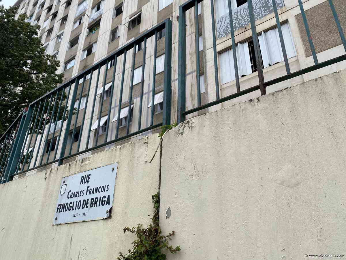 Fusil d’assaut, drogue et espèces... La police met au jour un squat lié au narcotrafic dans le centre-ville de Nice