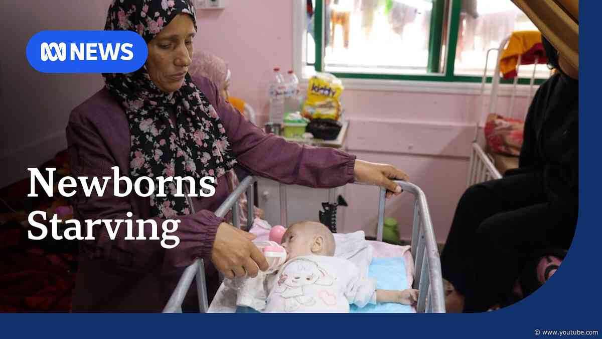 The tiny Gazans bearing the brunt of Israel's aid blockade | ABC NEWS