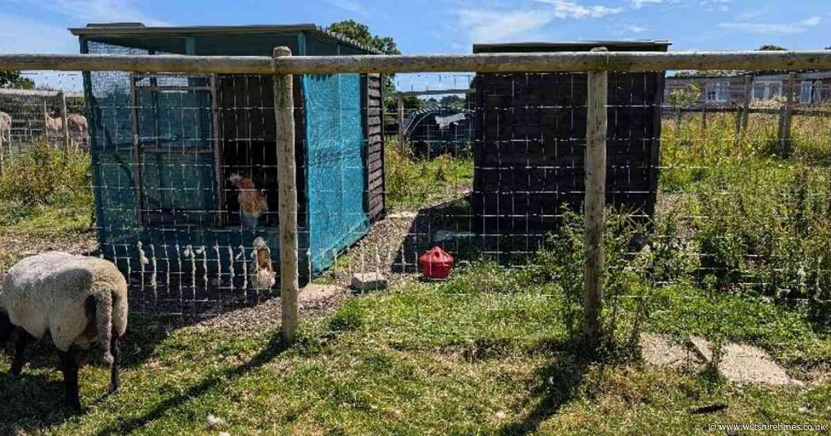 Sanctuary wins permission to carry on helping animals in latest applications