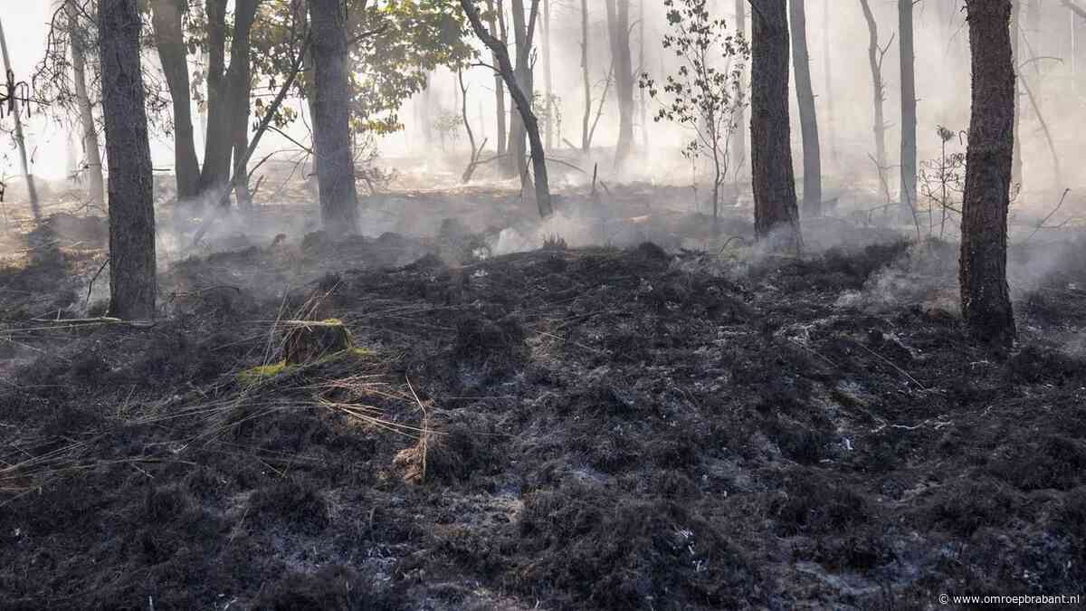 Natuurbrand: brandweer schaalt op omdat vuurhaard lastig te bereiken is