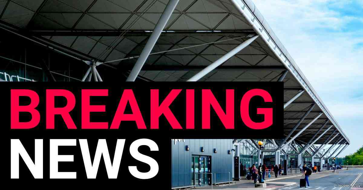 Flights delayed at Stansted Airport after IT glitch hits systems
