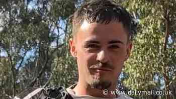 Aussie tourist who died in Thailand after holiday turned to tragedy is identified