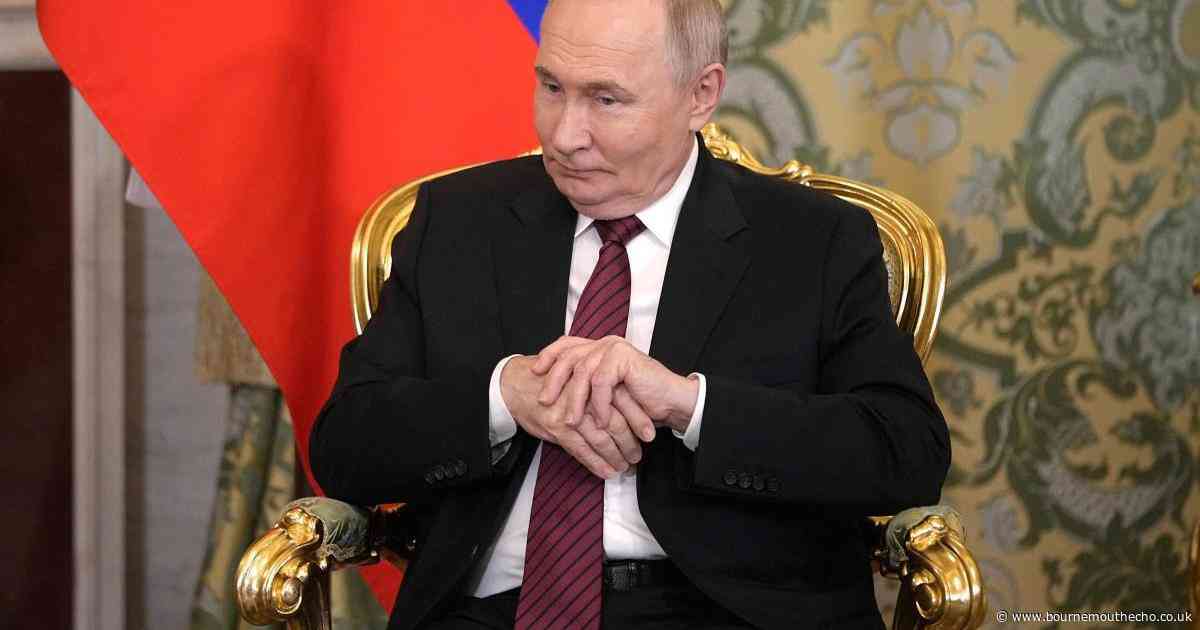 Zelensky agrees to meet Putin in Turkey after Trump demands they end war