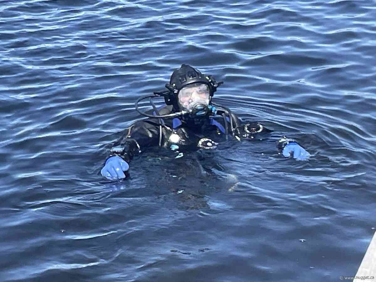 In the water or on the land North Bay was cleaning up this weekend