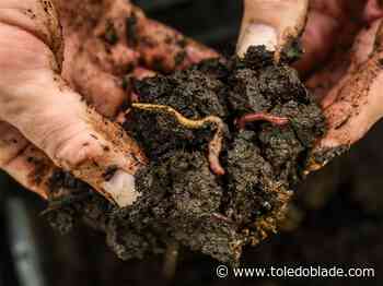 Perrysburg launches 2-year composting program