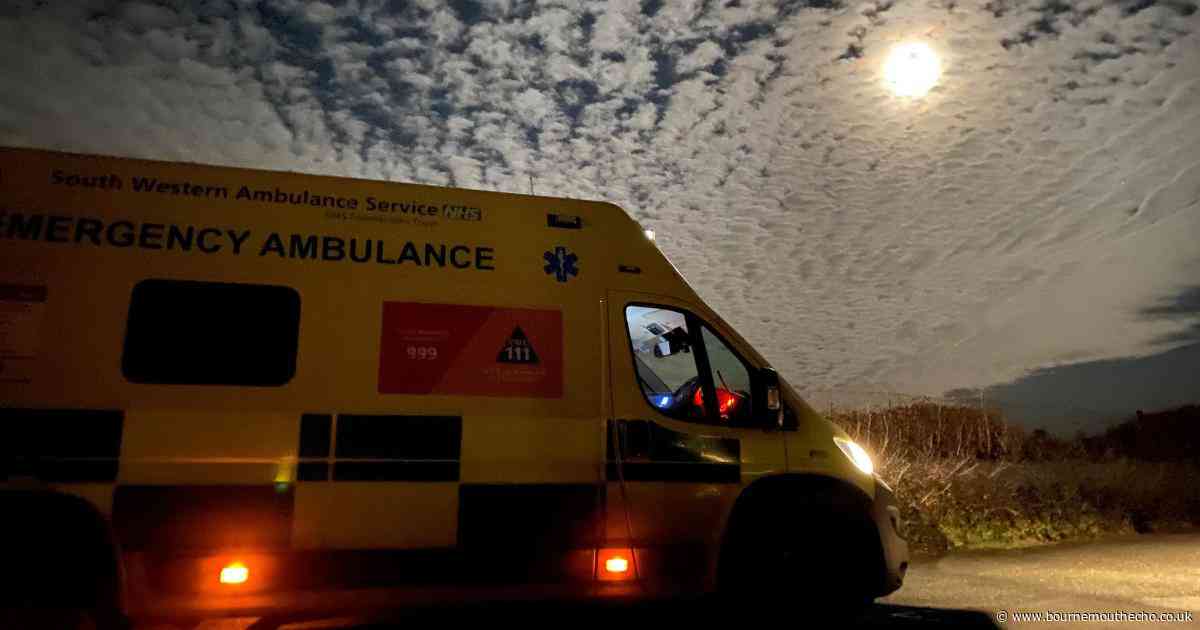 Woman found dead in woods near her home