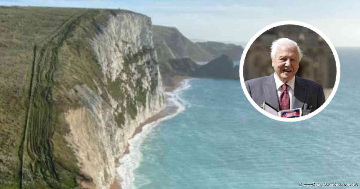 Jurassic Coast features in new David Attenborough documentary