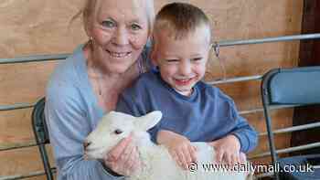 Boy, four, raced to hospital after getting 'nightmare' symptoms on holiday - as 73 others also fall ill following petting farm trip