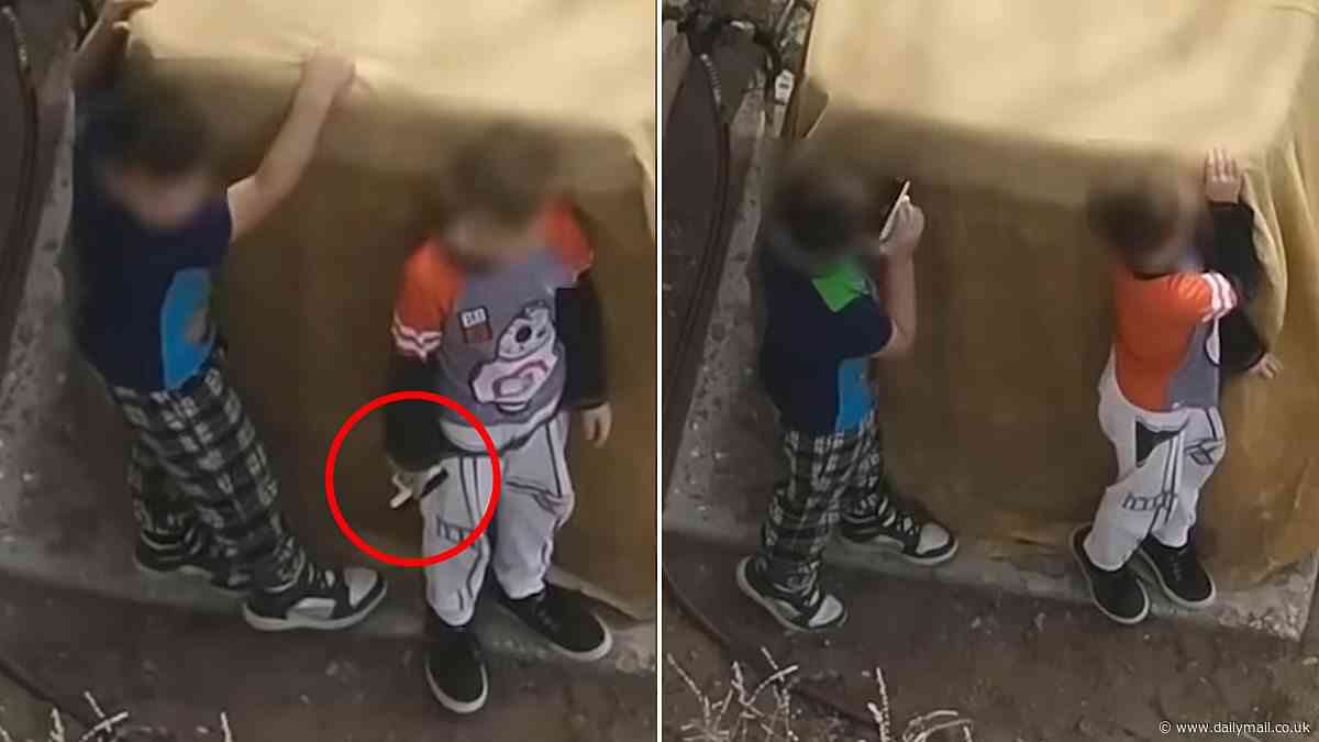Jaw-dropping moment New Mexico cops shoot at boys, aged seven and nine, after they refused to drop handgun