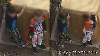 Jaw-dropping moment New Mexico cops shoot at boys, aged seven and nine, after they refused to drop handgun
