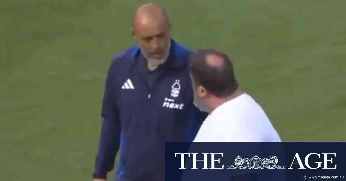 Nottingham Forest owner storms onto pitch