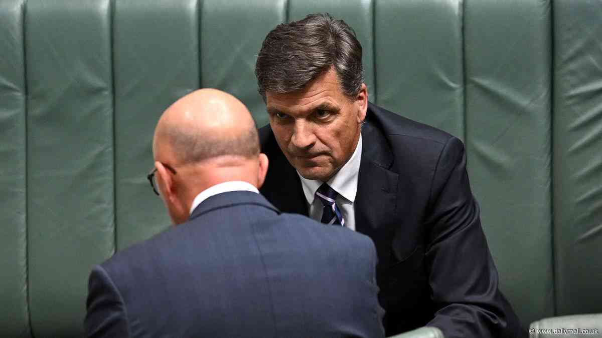 Labor cabinet announcement LIVE: Liberal leadership fight turns into a bloody knives-out brawl as candidate is forced to shut down 'false' claims of a secret coup against Peter Dutton