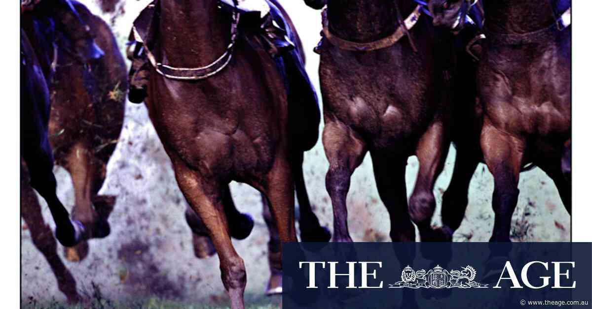 Race-by-race preview and tips for Wellington meeting on Tuesday