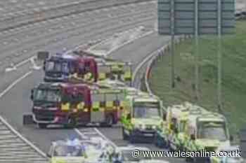 Child dies in horror M4 minibus crash