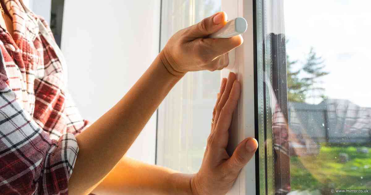 Homeowners urged to put 89p vegetable near window during the hot weather