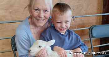 Boy, 4, falls seriously ill with parasite infection after visiting popular UK attraction
