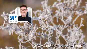 Frostgefahr im Mai? Warum die Eisheiligen eigentlich später kommen müssten – und wie kalt es wirklich wird