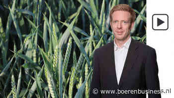Van de prijs moet de tarweteler het niet hebben