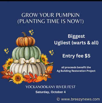 Yockanookany River Fest announced for October 4