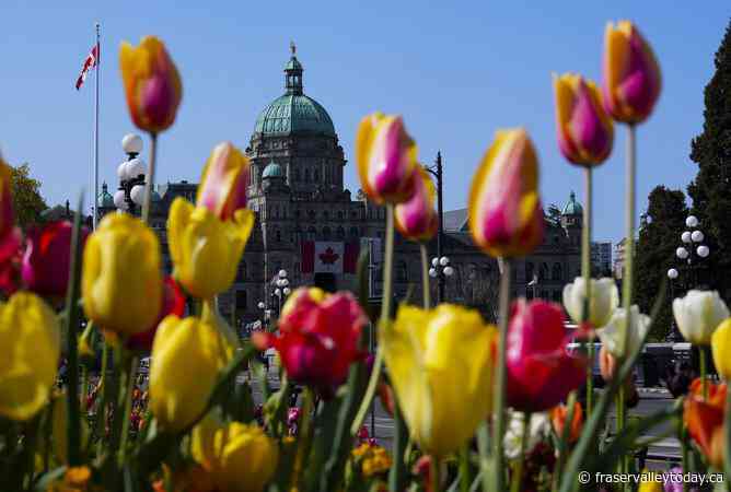 Minister says she rejected daycare at B.C. legislature because area is well served