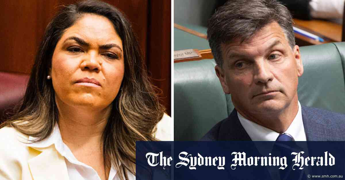 Jacinta Price ‘chickened out’ of deputy vote, say infuriated and blindsided Angus Taylor backers