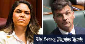 Jacinta Price ‘chickened out’ of deputy vote, say infuriated and blindsided Angus Taylor backers