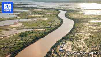 Floods transform Channel Country into pelican paradise
