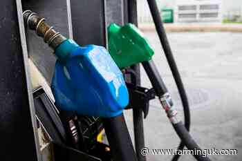 UK bioethanol facing &#39;collapse&#39; after US trade deal, producers warn